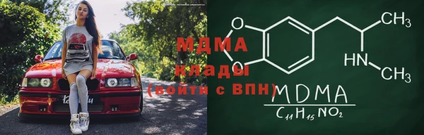прущие грибы Ельня