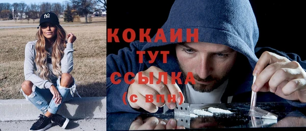 дживик Елизово
