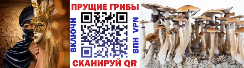 Галлюциногенные грибы GOLDEN TEACHER Кемерово